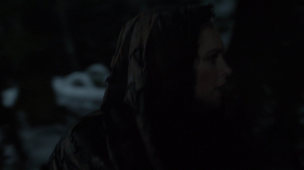 The 100 Resurrection Season Two Episode Thirteen-2046
