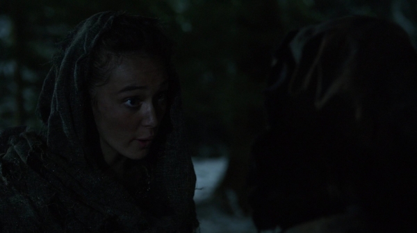 The 100 Resurrection Season Two Episode Thirteen-2040
