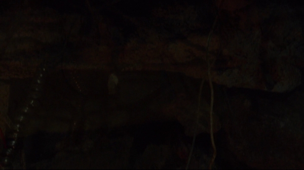 The 100 Resurrection Season Two Episode Thirteen-1964
