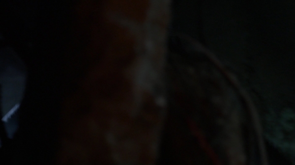The 100 Resurrection Season Two Episode Thirteen-1599

