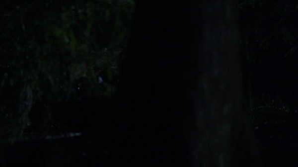 The 100 Resurrection Season Two Episode Thirteen-1342

