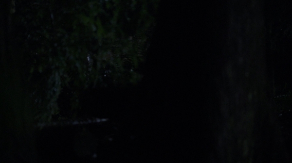 The 100 Resurrection Season Two Episode Thirteen-1341
