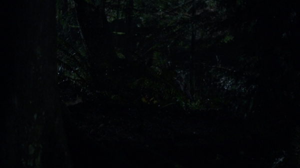 The 100 Resurrection Season Two Episode Thirteen-1334
