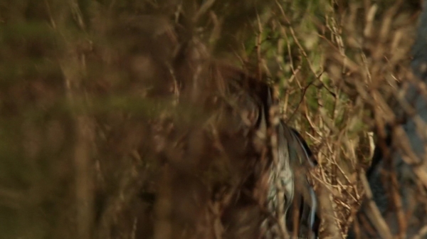 The 100 Resurrection Season Two Episode Thirteen-650
