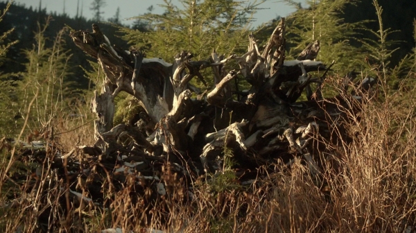 The 100 Resurrection Season Two Episode Thirteen-649
