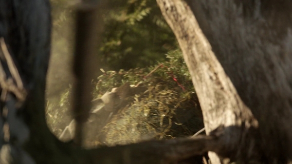 The 100 Resurrection Season Two Episode Thirteen-643
