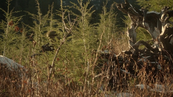 The 100 Resurrection Season Two Episode Thirteen-634
