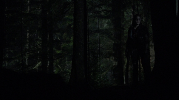 Bodyguard of Lies The 100 Season 2 Episode Fourteen-1393
