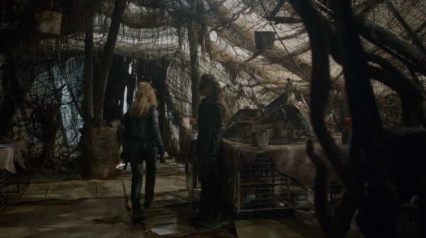 Bodyguard of Lies The 100 Season 2 Episode Fourteen-1105
