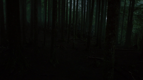 Bodyguard of Lies The 100 Season 2 Episode Fourteen-468
