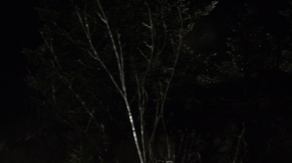 The 100 Season 2 Episode 15 Blood Must Have Blood Part One-542
