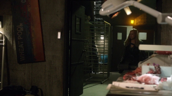 The 100 Season Two Episode Sixteen Blood Must Have Part Two-529
