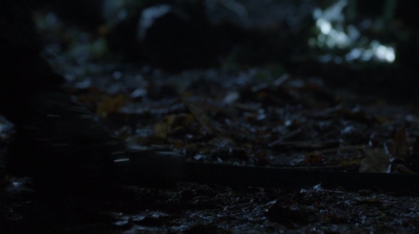 The 100 Season Two Episode Sixteen Blood Must Have Part Two-420
