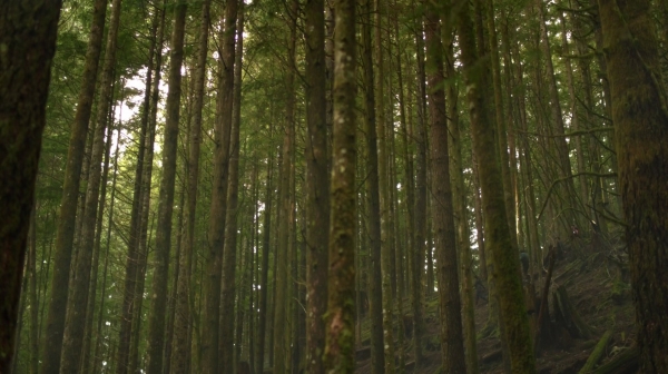 The 100 Season One Episode One Pilot Captures-1271
