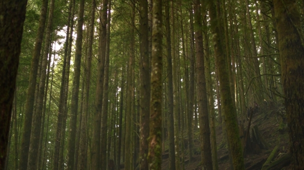 The 100 Season One Episode One Pilot Captures-1270
