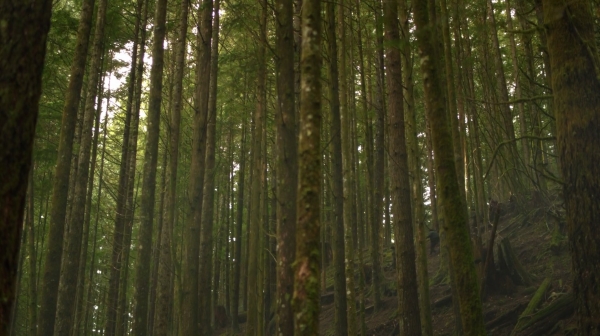 The 100 Season One Episode One Pilot Captures-1269
