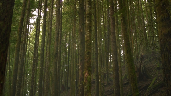 The 100 Season One Episode One Pilot Captures-1268
