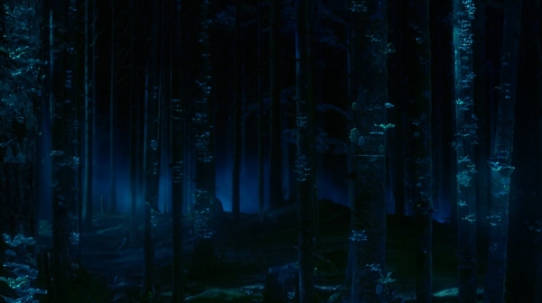 The 100 Season One Episode One Pilot Captures-679
