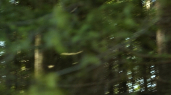 The 100 Season One Episode One Pilot Captures-11
