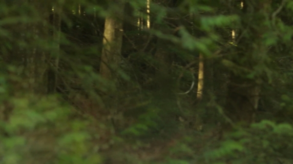 The 100 Season One Episode One Pilot Captures-5
