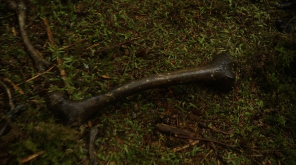 The 100 Season One Episode Two Earth Skills Captures-2789
