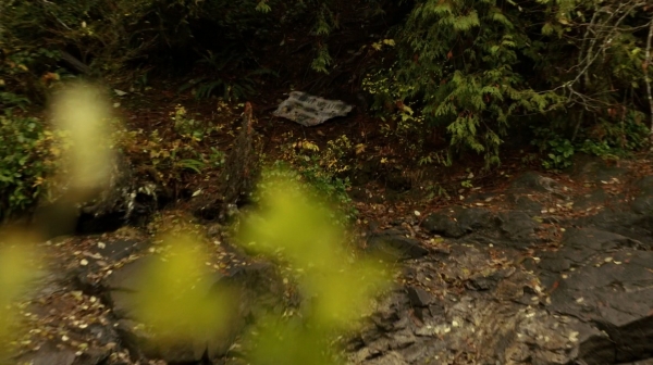 The 100 Season One Episode Two Earth Skills Captures-2762
