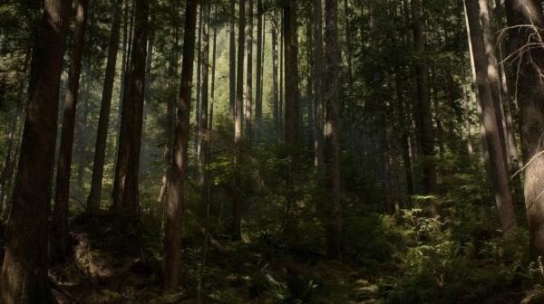 The 100 Season One Episode Two Earth Skills Captures-1332
