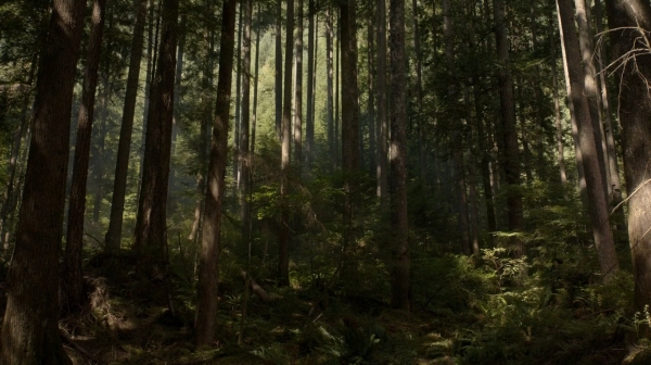 The 100 Season One Episode Two Earth Skills Captures-1331
