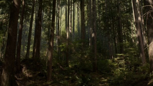 The 100 Season One Episode Two Earth Skills Captures-1330
