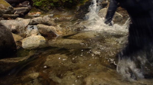 The 100 Season One Episode Two Earth Skills Captures-1281
