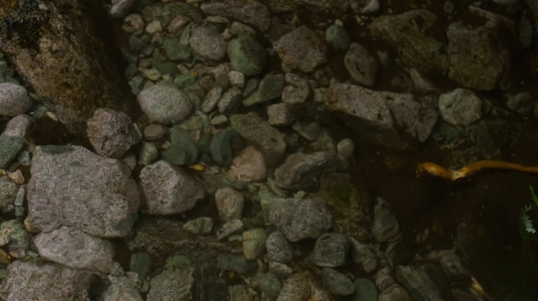 The 100 Season One Episode Two Earth Skills Captures-1178
