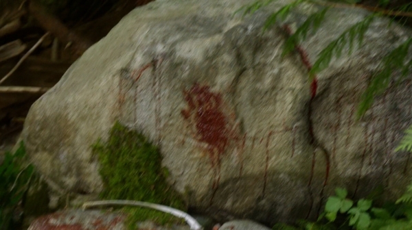 The 100 Season One Episode Two Earth Skills Captures-1170

