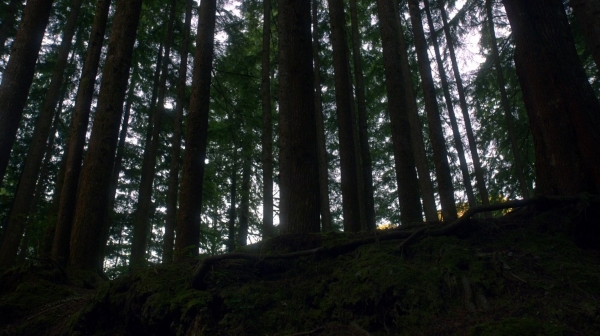 The 100 Season One Episode Two Earth Skills Captures-979
