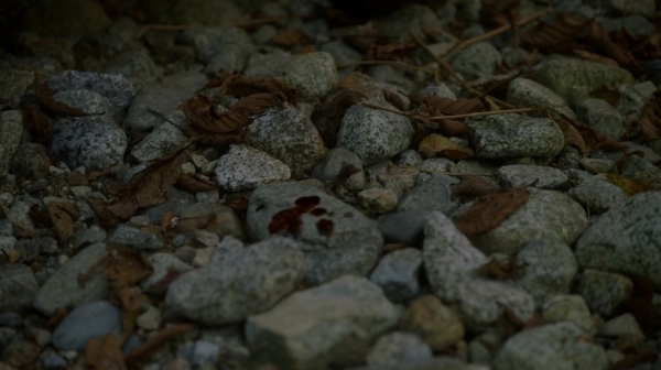 The 100 Season One Episode Two Earth Skills Captures-844
