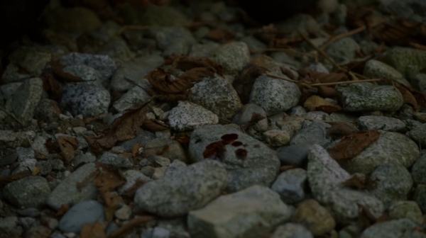 The 100 Season One Episode Two Earth Skills Captures-843
