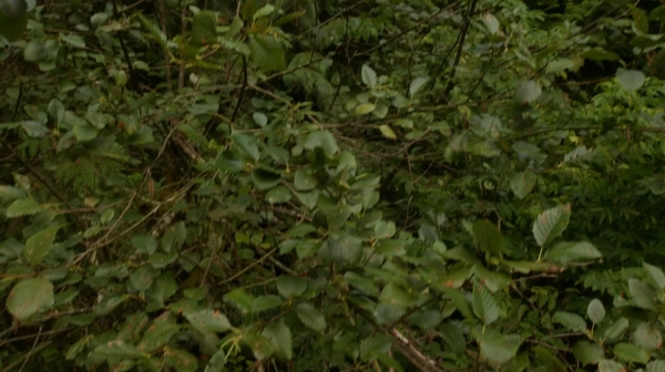 The 100 Season One Episode Two Earth Skills Captures-826
