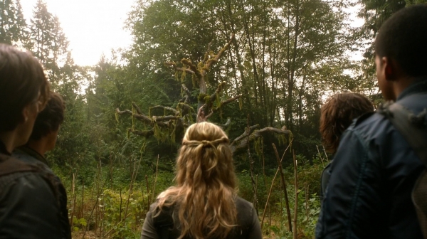 The 100 Season One Episode Two Earth Skills Captures-819
