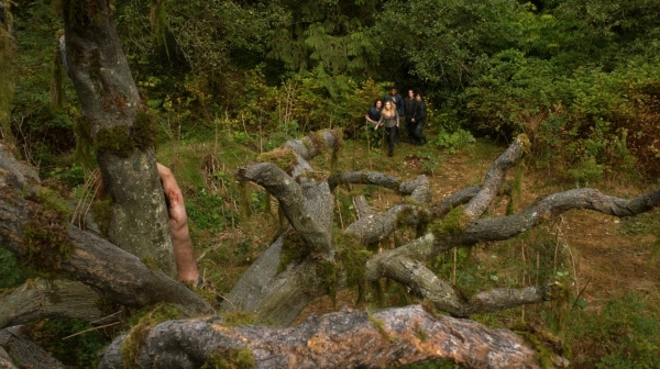 The 100 Season One Episode Two Earth Skills Captures-807
