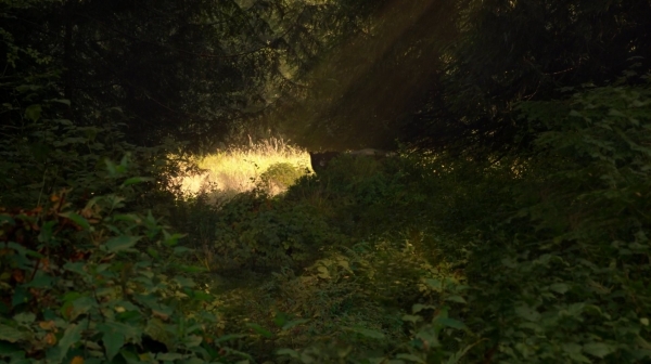 The 100 Season One Episode Two Earth Skills Captures-500
