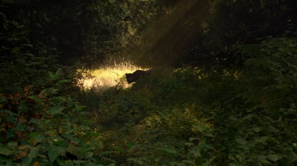 The 100 Season One Episode Two Earth Skills Captures-499
