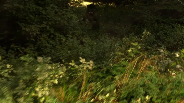 The 100 Season One Episode Two Earth Skills Captures-486
