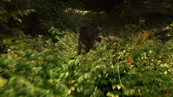 The 100 Season One Episode Two Earth Skills Captures-485
