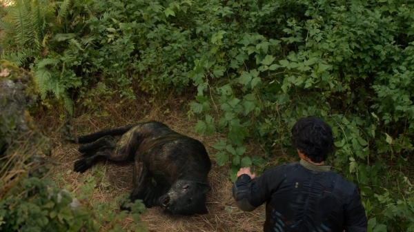 The 100 Season One Episode Two Earth Skills Captures-464
