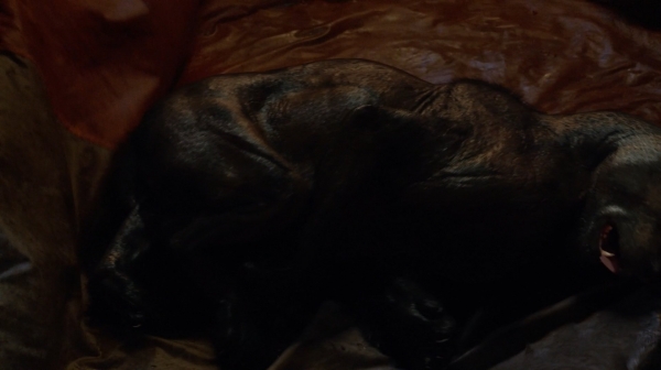 The 100 Season One Episode Two Earth Skills Captures-236
