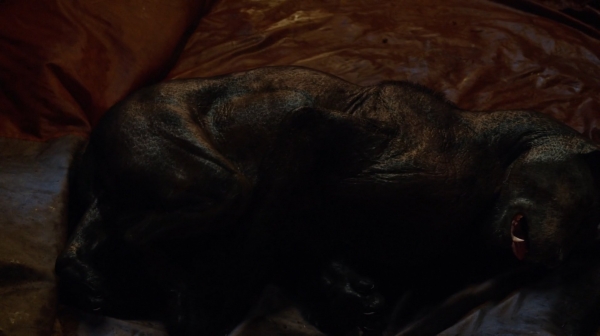 The 100 Season One Episode Two Earth Skills Captures-235
