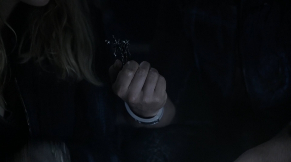 The 100 Season One Episode Two Earth Skills Captures-209
