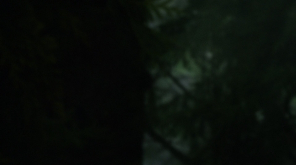 The 100 Season One Episode Two Earth Skills Captures-18
