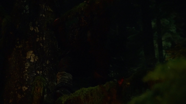 The 100 Season One Episode Two Earth Skills Captures-16

