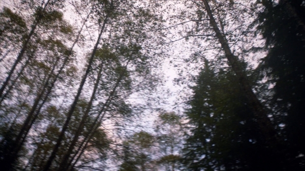 Twilights Last Gleaming The 100 Season One Episode Five-864
