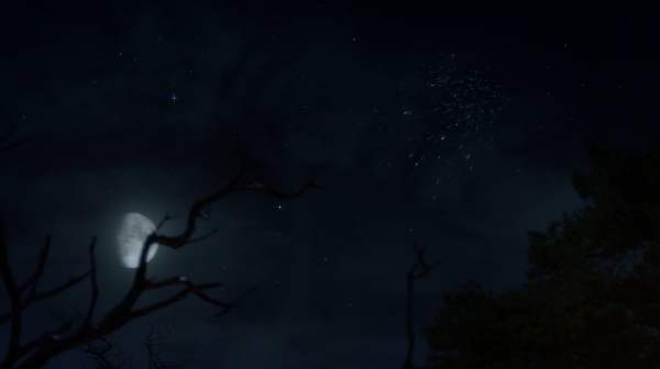 The 100 His Sisters Keeper Season One Episode Six-1172

